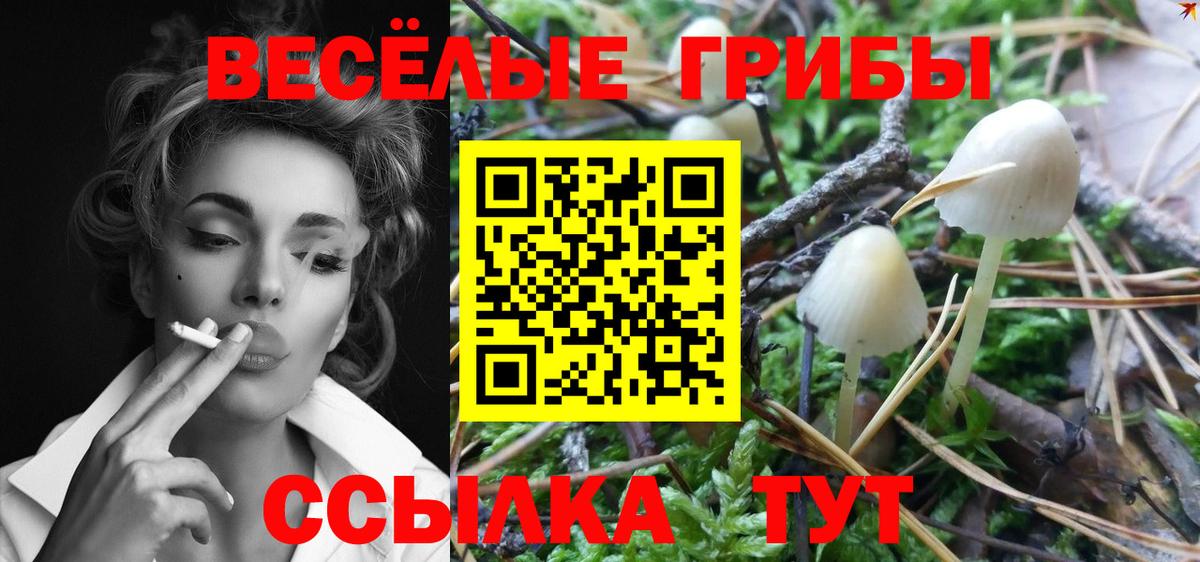 Марихуана  Комсомольск-на-Амуре  Вход с VPN  COCAIN  Меф МЯУ МЯУ кристаллы  Гашиш 