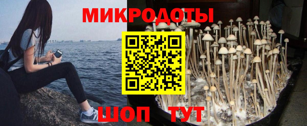Галлюциногенные грибы мухоморы Комсомольск-на-Амуре